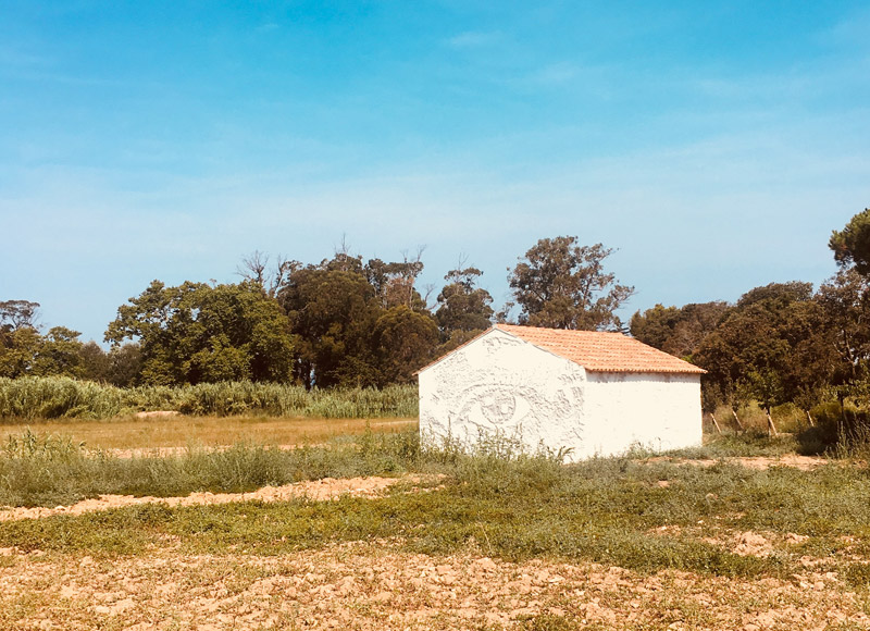 Curious-about-life-fondazione-carmignac-42