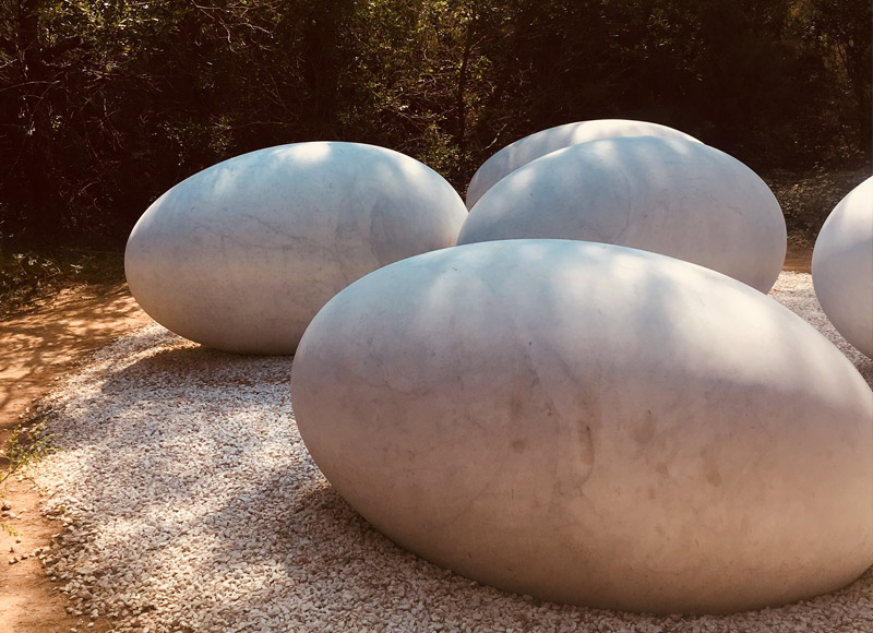 Curious-about-life-fondazione-carmignac-50