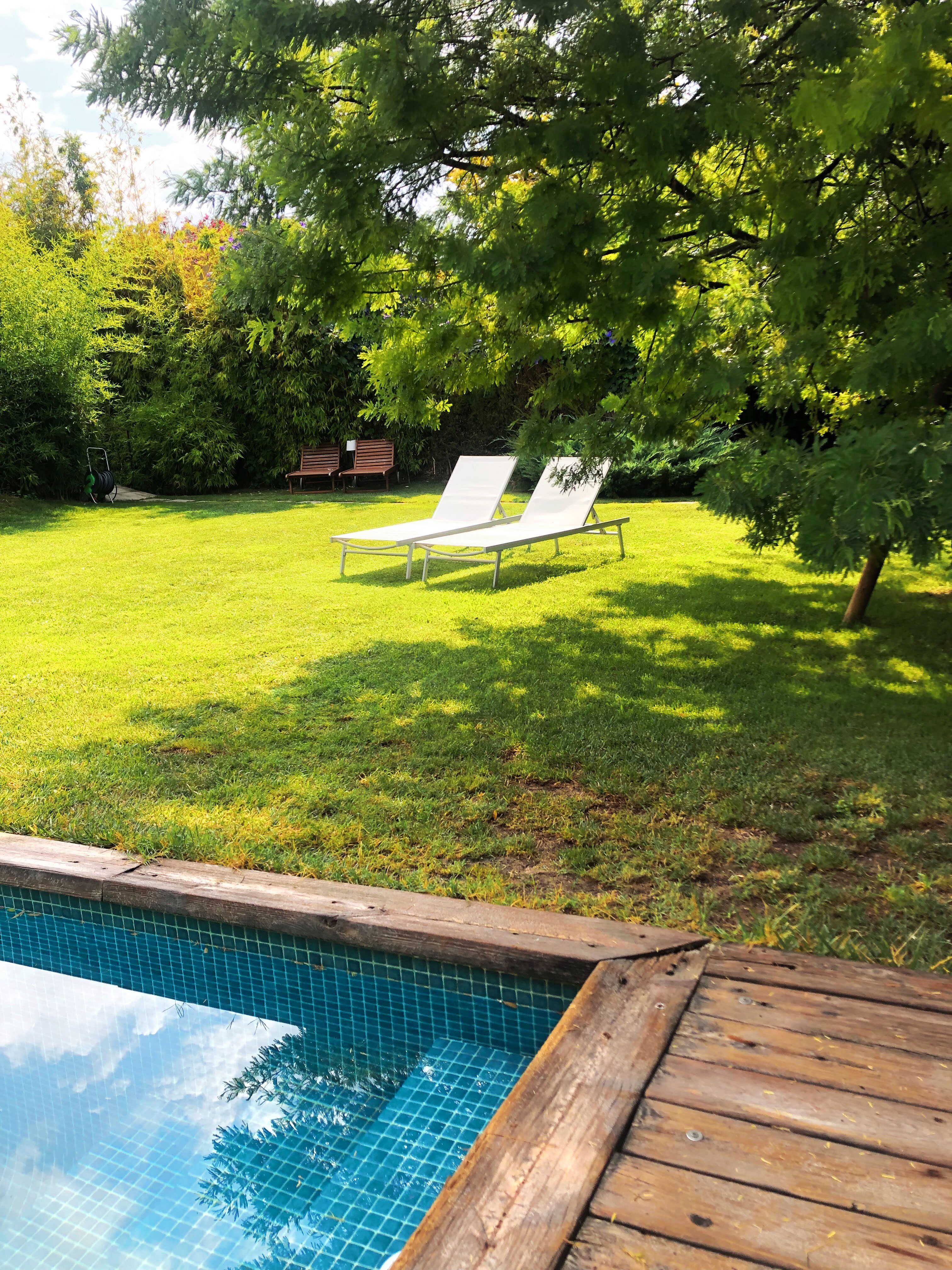 Deckchairs in a garden