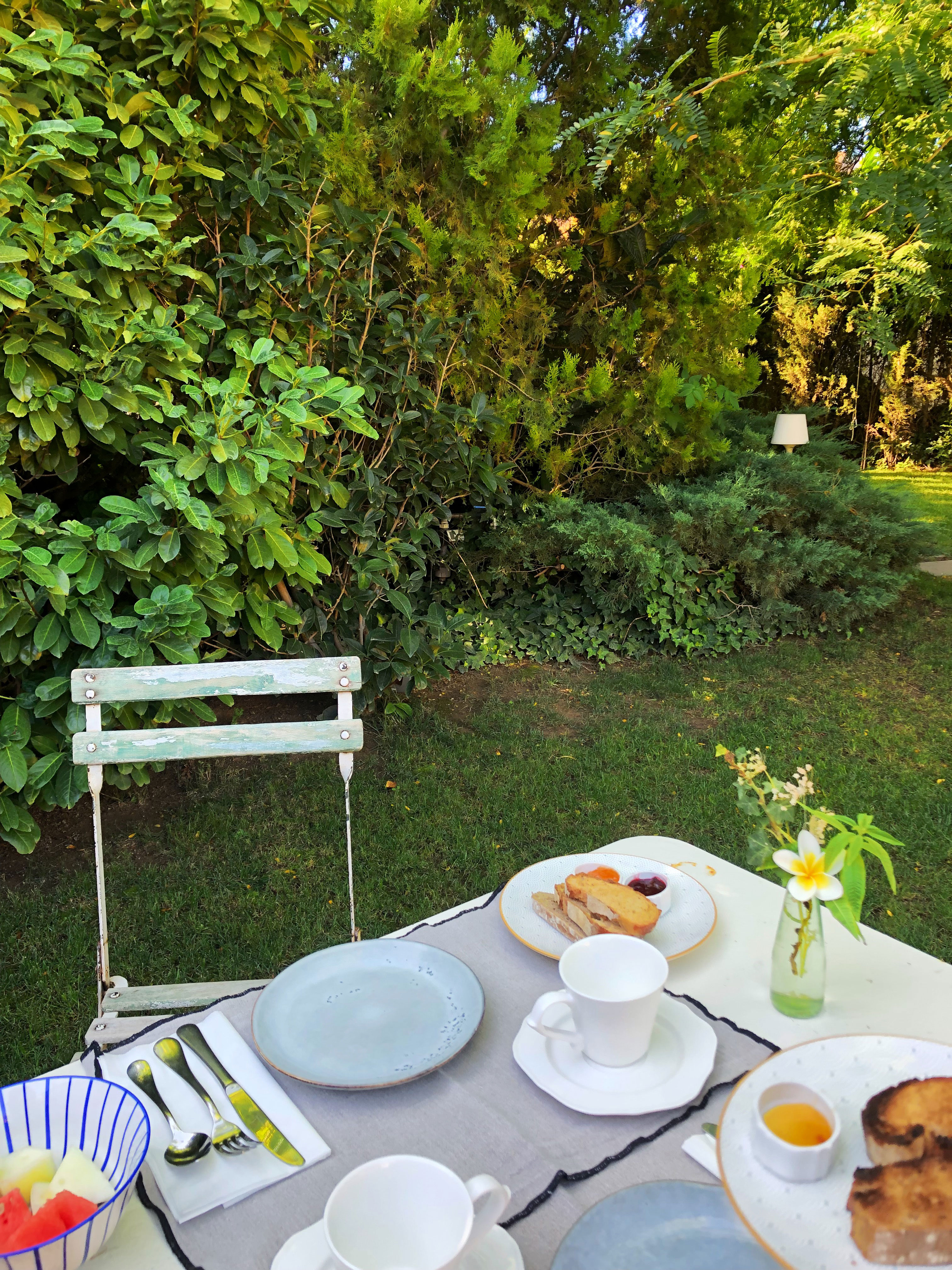 Breakfast in the garden